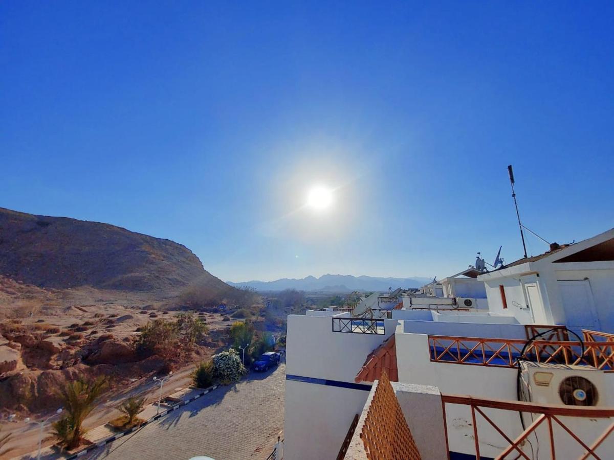 Lovely One Bedroom Within Cozy Compound Including Swimming Pool, Supermarket. Perfect Location At Neama Bay With Access To Public Transportation Appartement